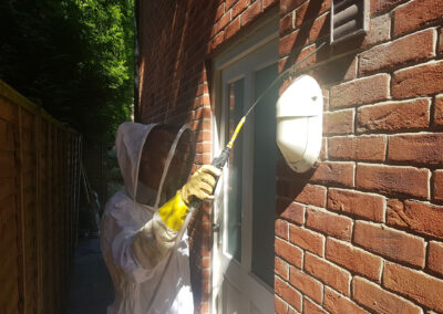 Treating a Wasp Nest